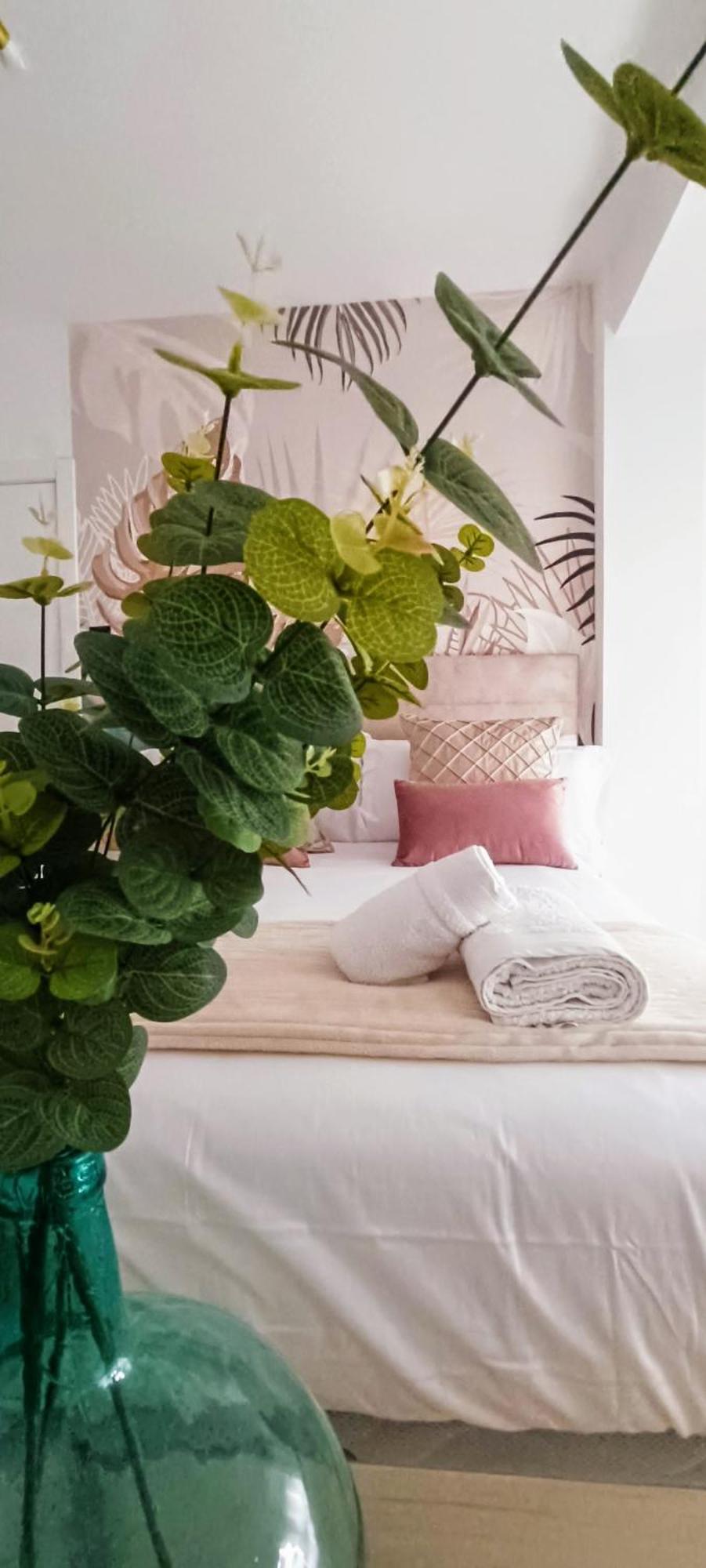 Apartamento Centro Ancha De Gracia 그라나다 외부 사진